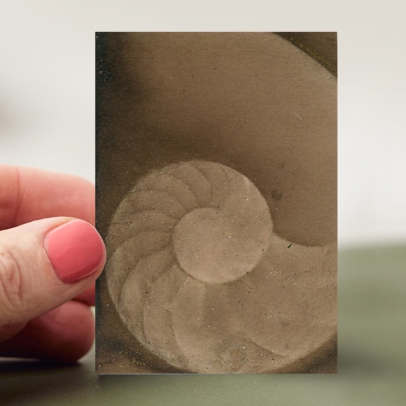 Original ACEO - Miniature Sea Shell Shell Painting - Nautilus Shell 604 - Picture 3 of 5